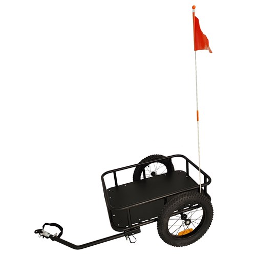 PCTDH With Flag 3